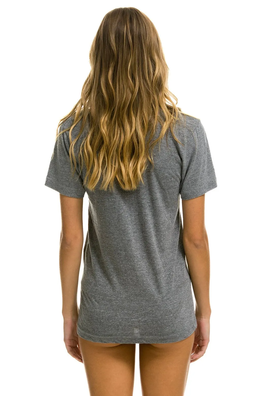 AVIATOR NATION NORTH SHORE TEE - HEATHER GREY