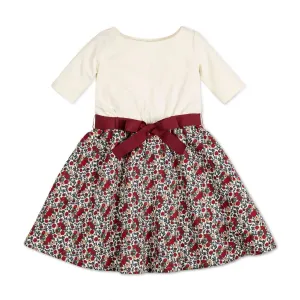 Baby Lightweight Blocked Skater Dress - Holiday Multi Floral