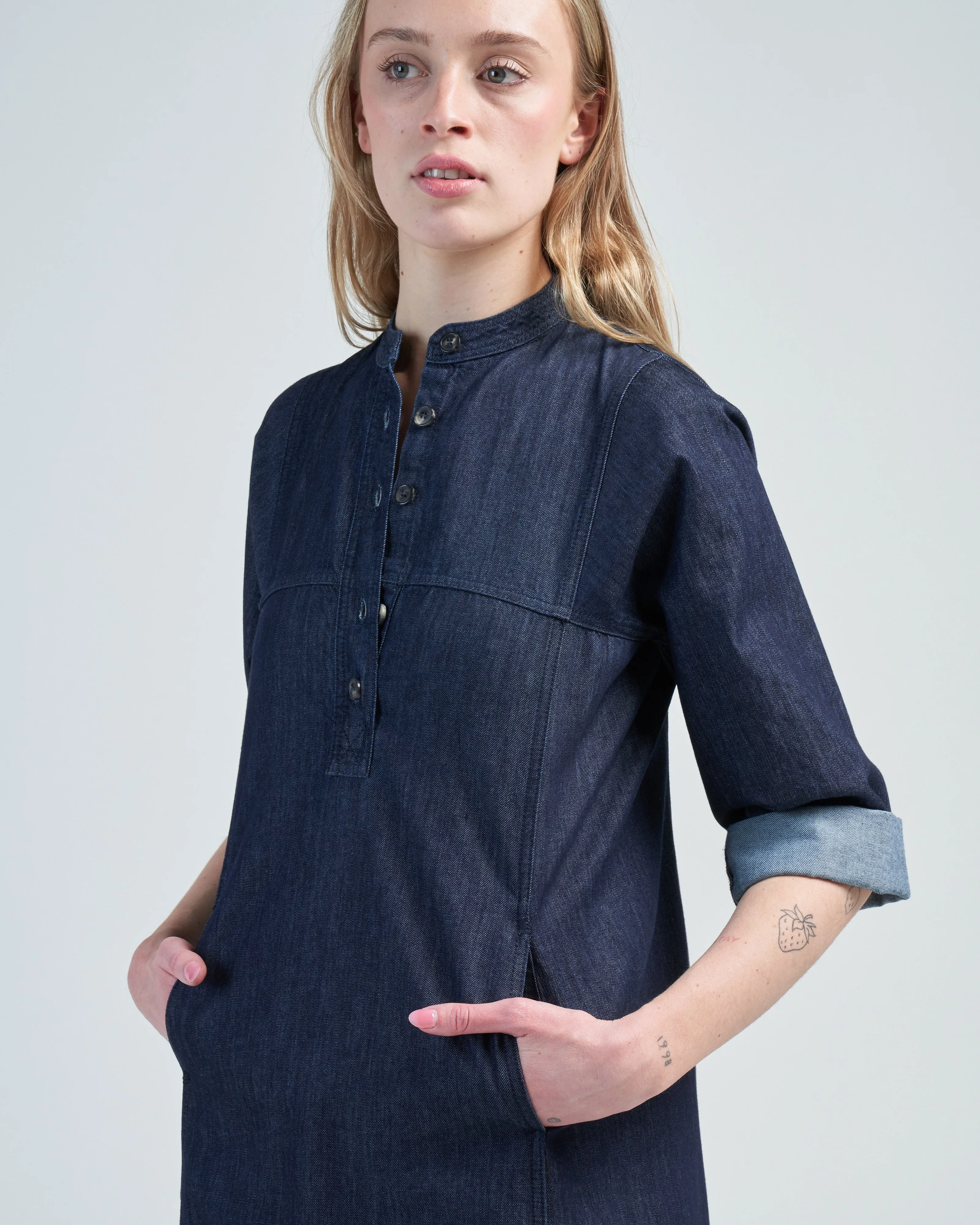 dalice denim dress