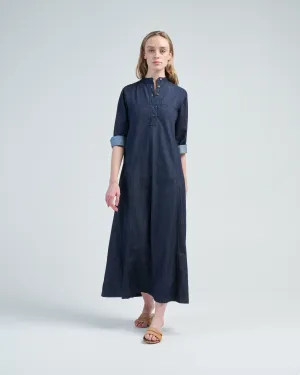 dalice denim dress