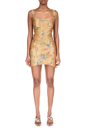 Giardino Corset Mini Dress