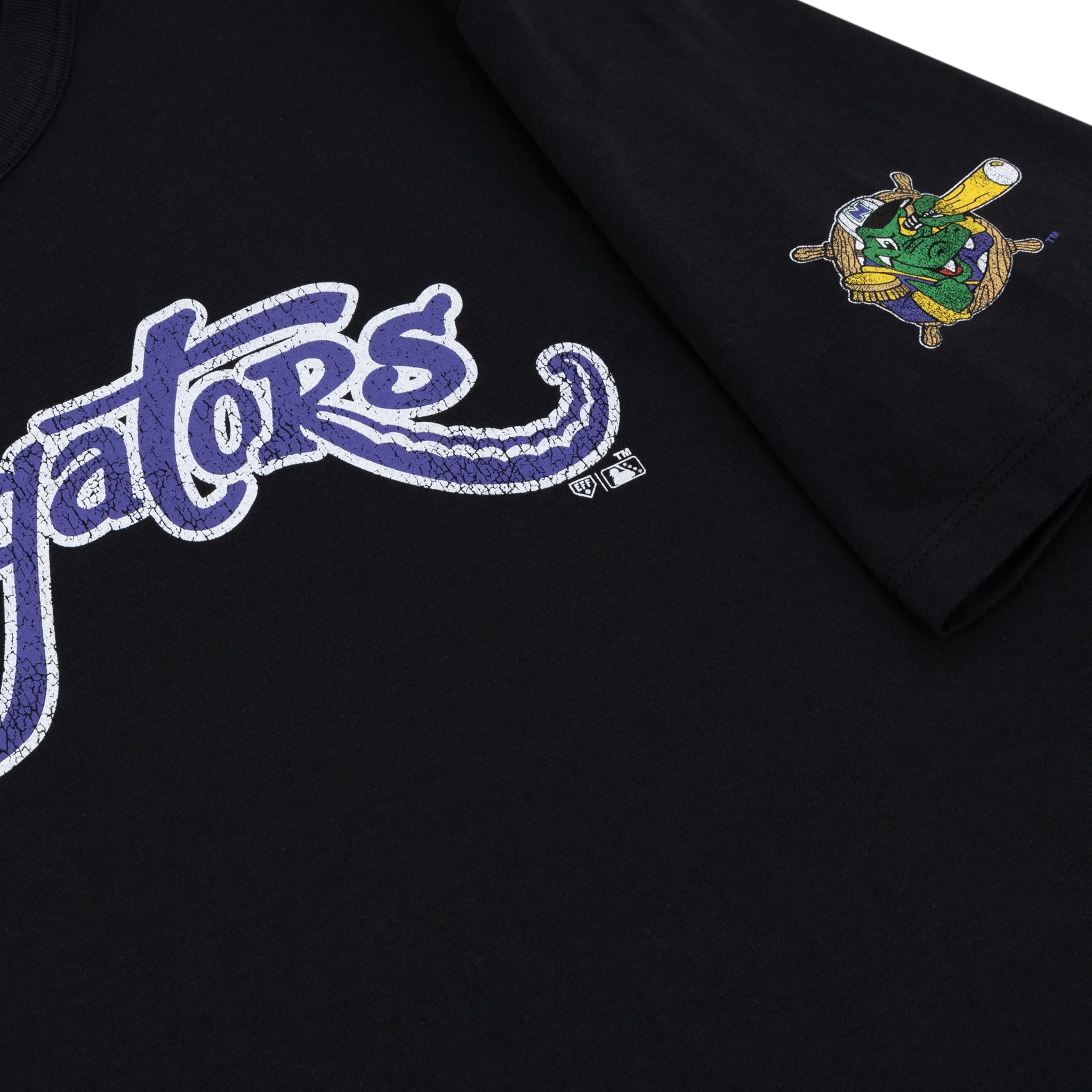 Norwich Navigators EFF MiLB Vintage T-Shirt