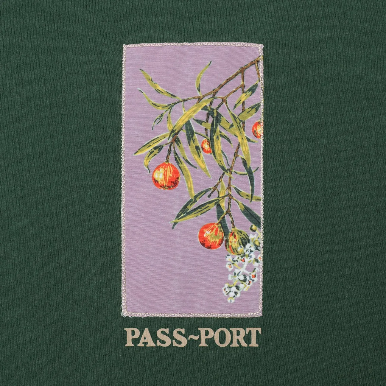 Passport Quandong Tee "Forest Green'