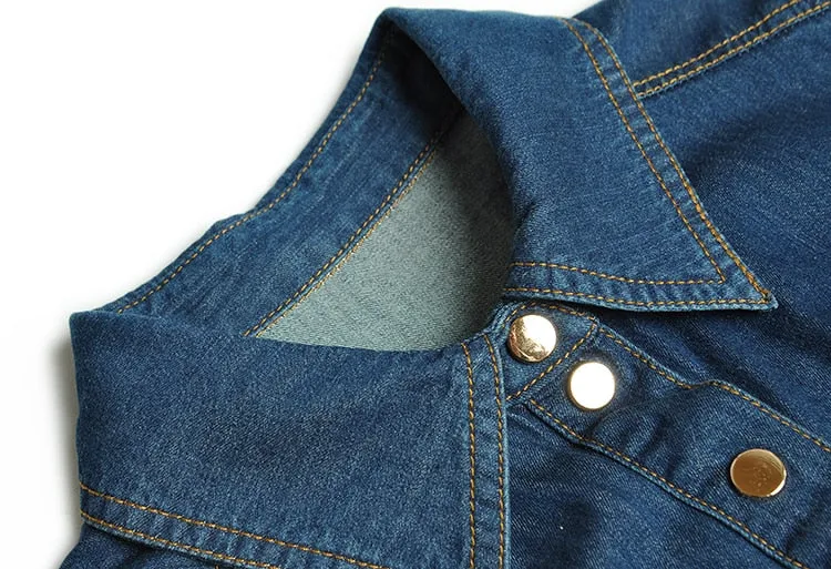 Polo  Lake Blue Denim Dress