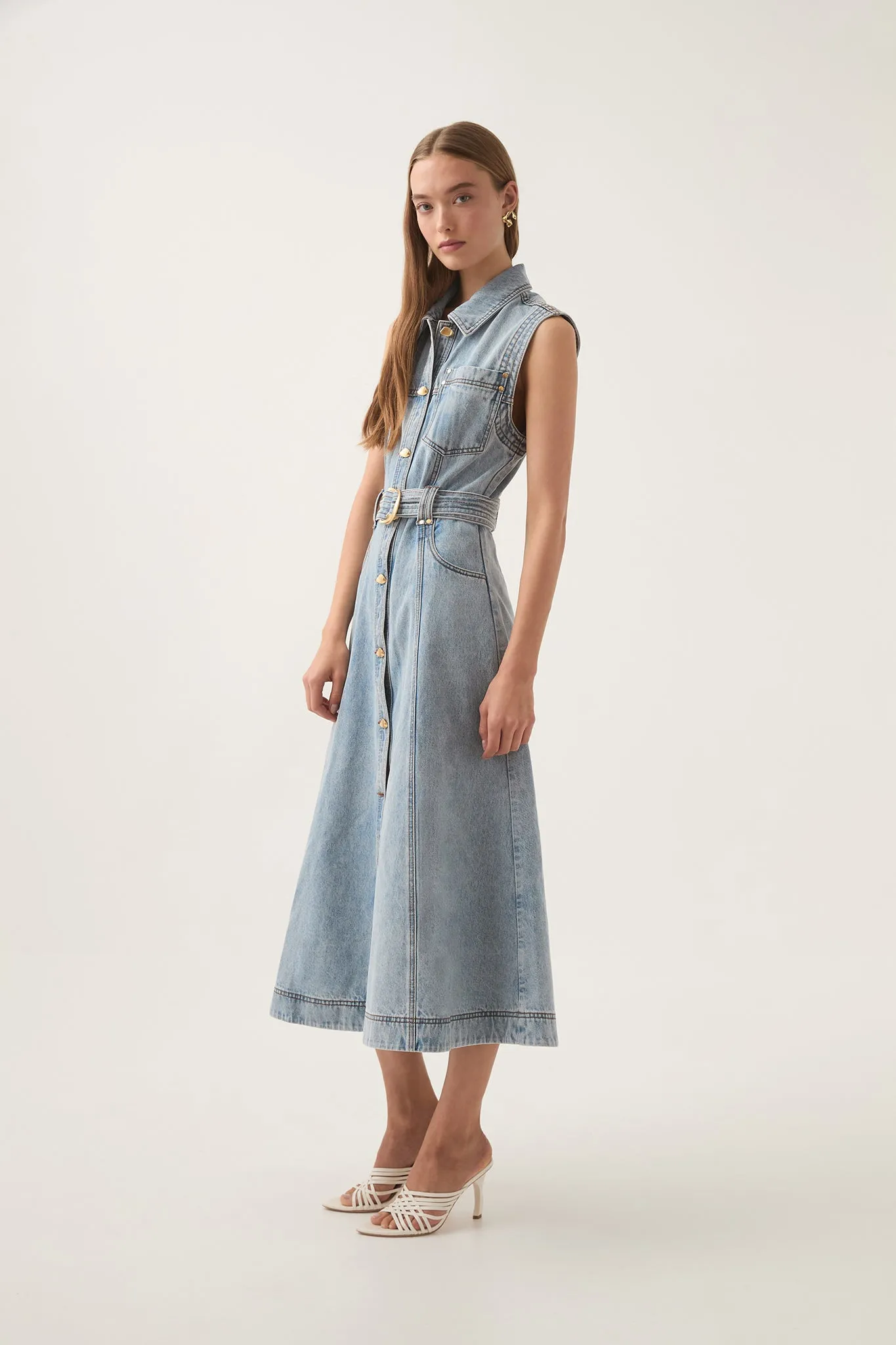 Ray Denim Midi Dress