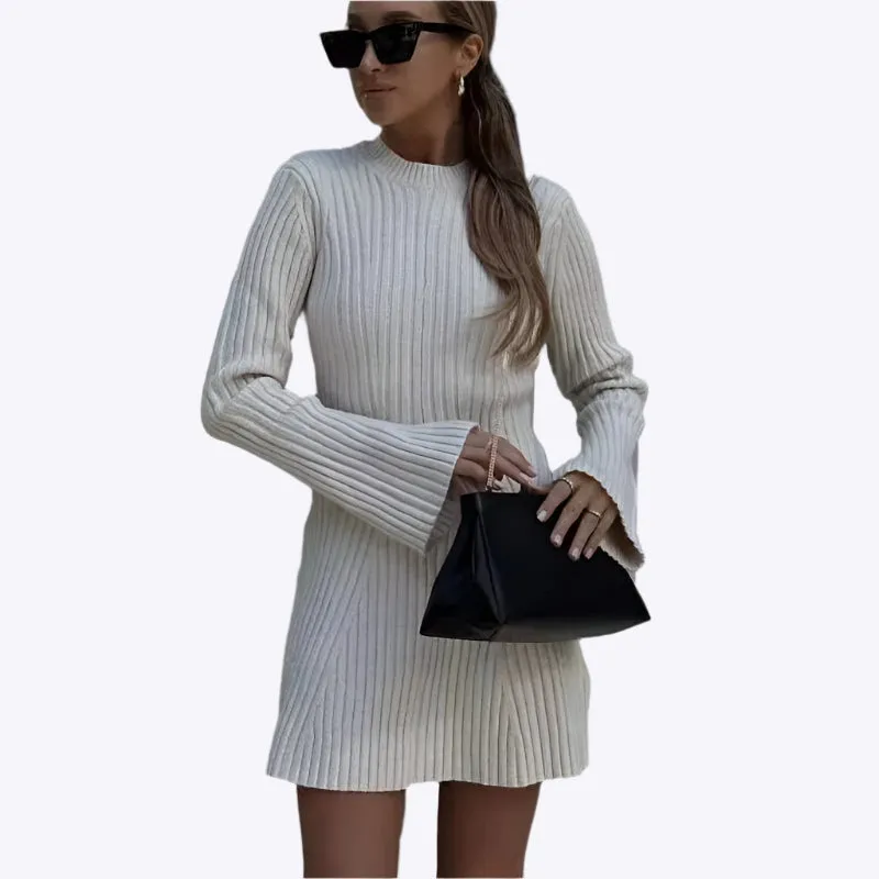 Samara - Cozy Ribbed High Collar Woman's Mini Dress