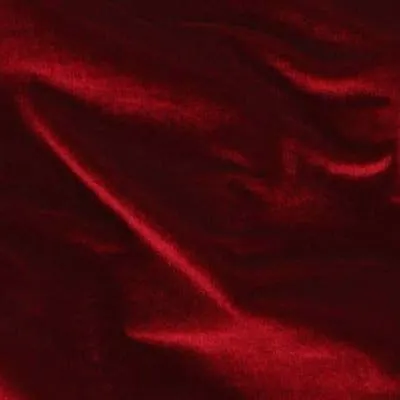 Spandex Velvet