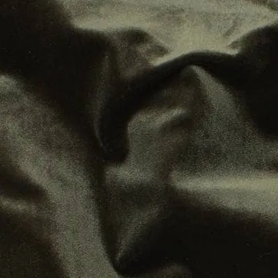 Spandex Velvet