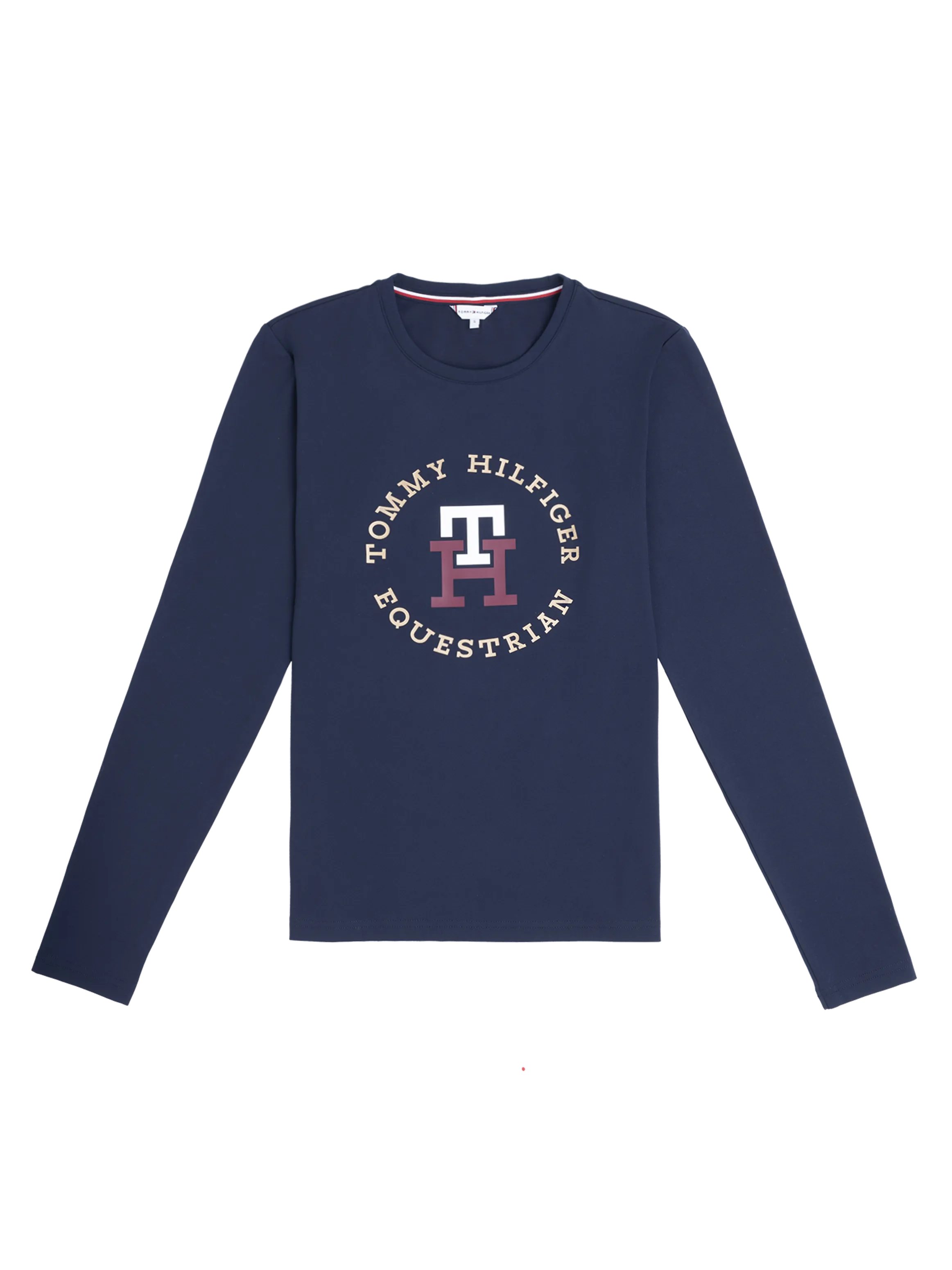 Tommy Hilfiger Ohio graphic training t-shirt in desert sky
