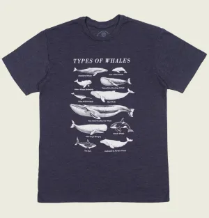 TYPES OF WHALES Navy Unisex t-shirt