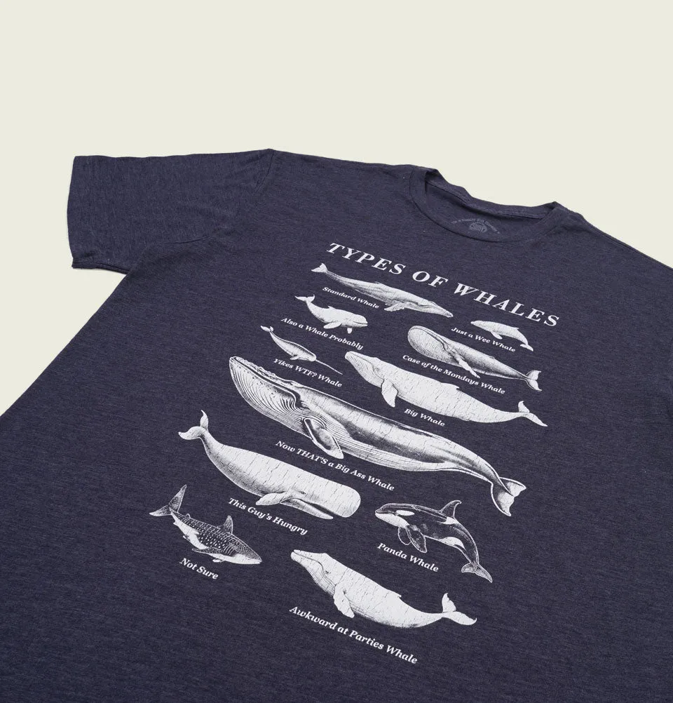 TYPES OF WHALES Navy Unisex t-shirt